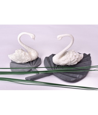 WHITE SWAN