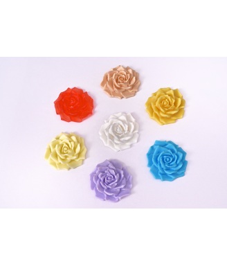 ROSES COLLECTION
