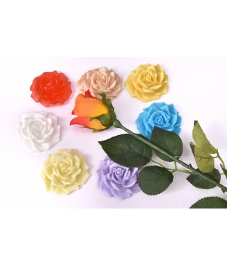 ROSES COLLECTION