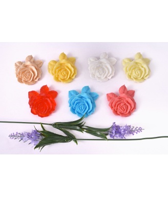 LITTLE ROSES COLLECTION