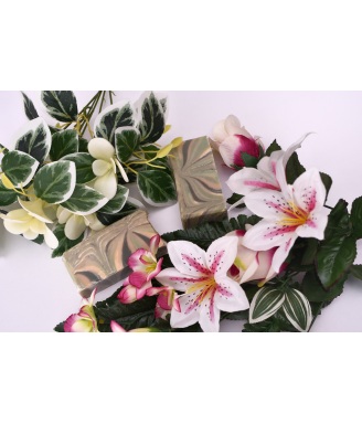 GISSEL SĂPUN BIO VEGAN...